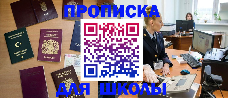 где прописаться в Невеле